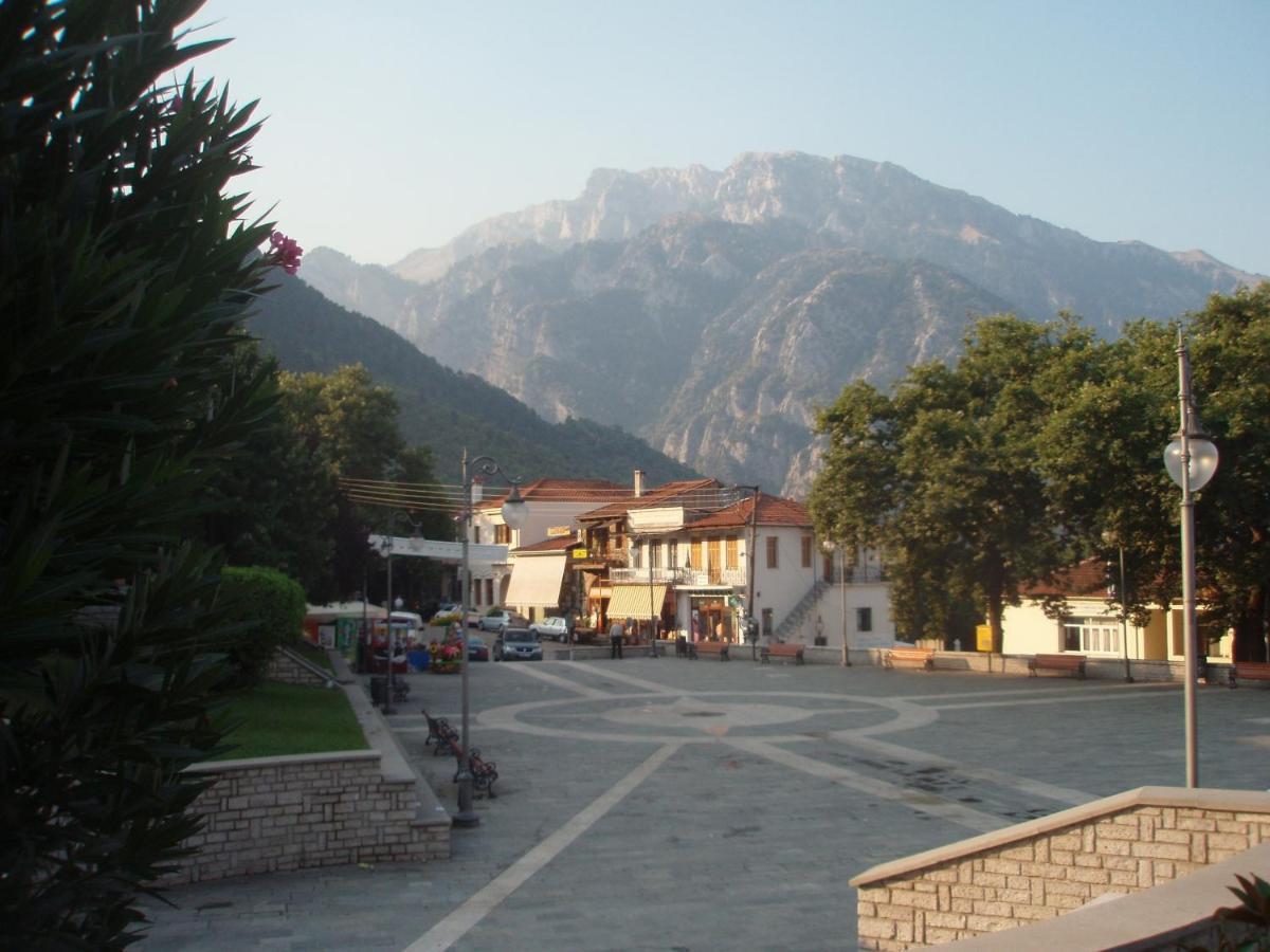 Filoxenia Hotel Konitsa Eksteriør billede